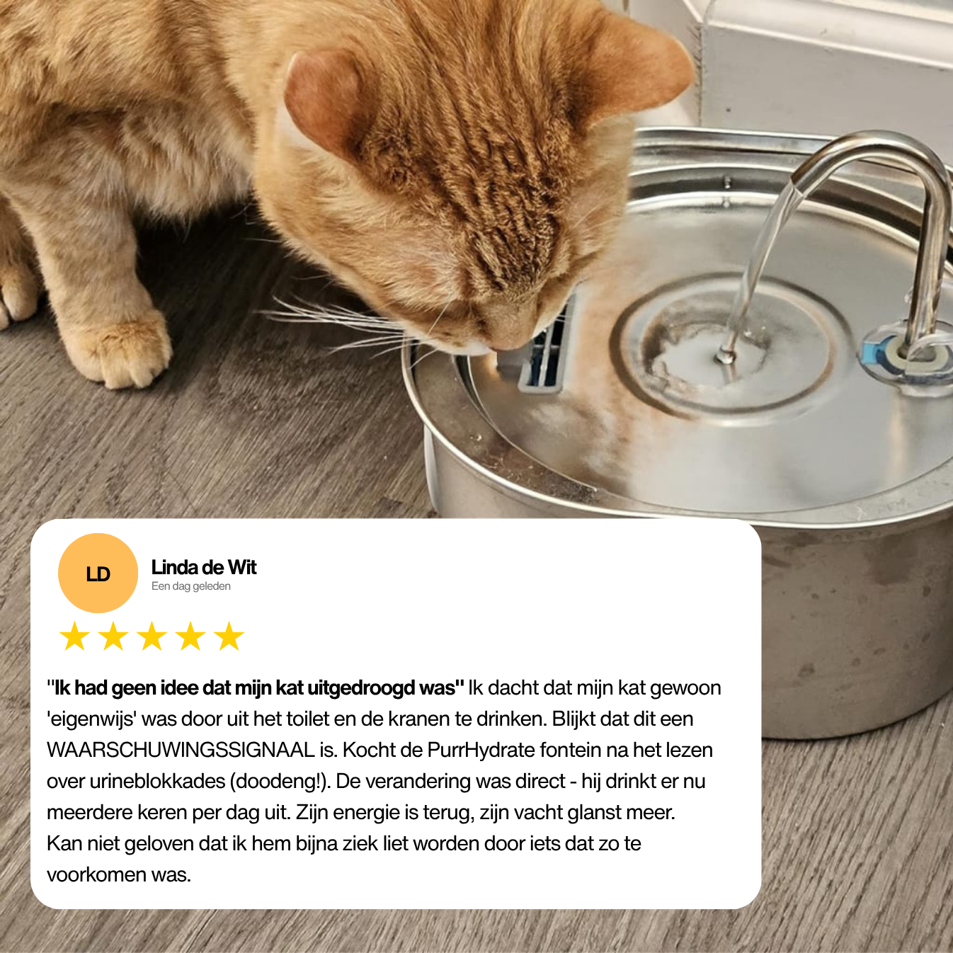 Voorkom Nierziekten & Uitdroging Met PurrHydrate™