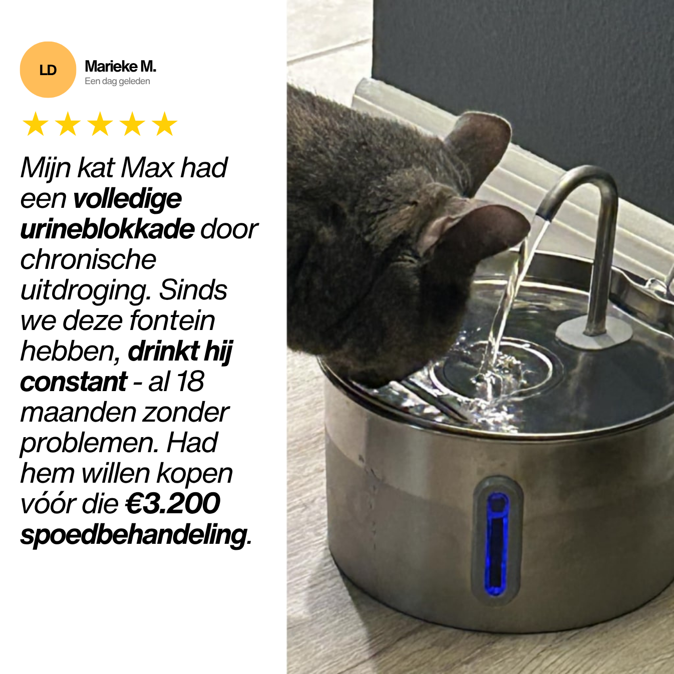 Voorkom Nierziekten & Uitdroging Met PurrHydrate™