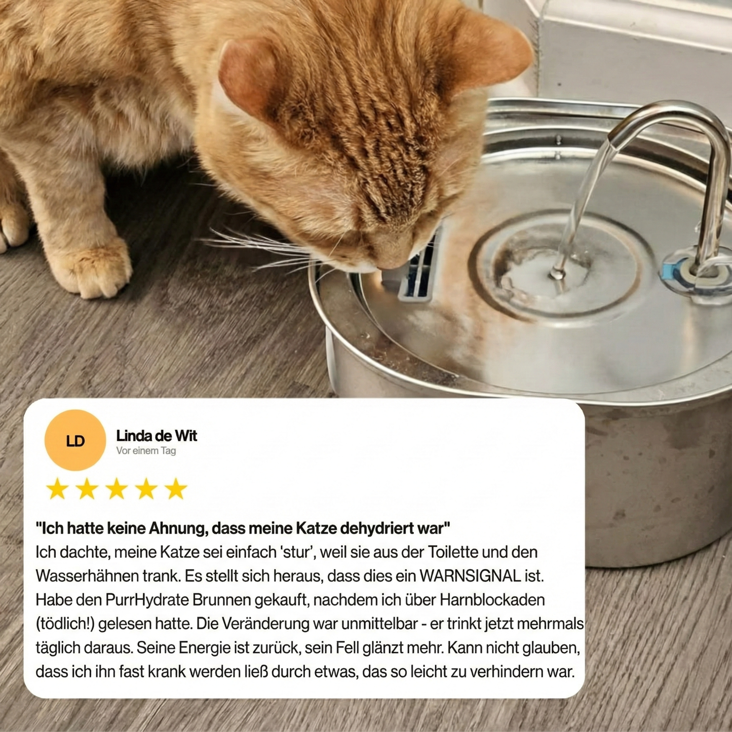 Nierenerkrankungen & Austrocknung vorbeugen mit PurrHydrate™